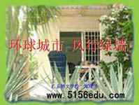 《环球城市,风行绿墙》ppt课件2