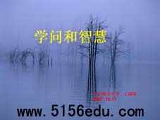 《学问和智慧》ppt课件5