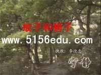 《蚊子和狮子》ppt课件2