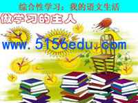 综合性学习《我的语文生活》ppt课件(30页)