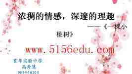 浓稠的情感,深邃的理趣《一棵小桃树》pptx课件及教案(13页)